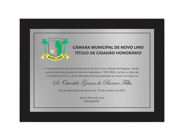 placas 10