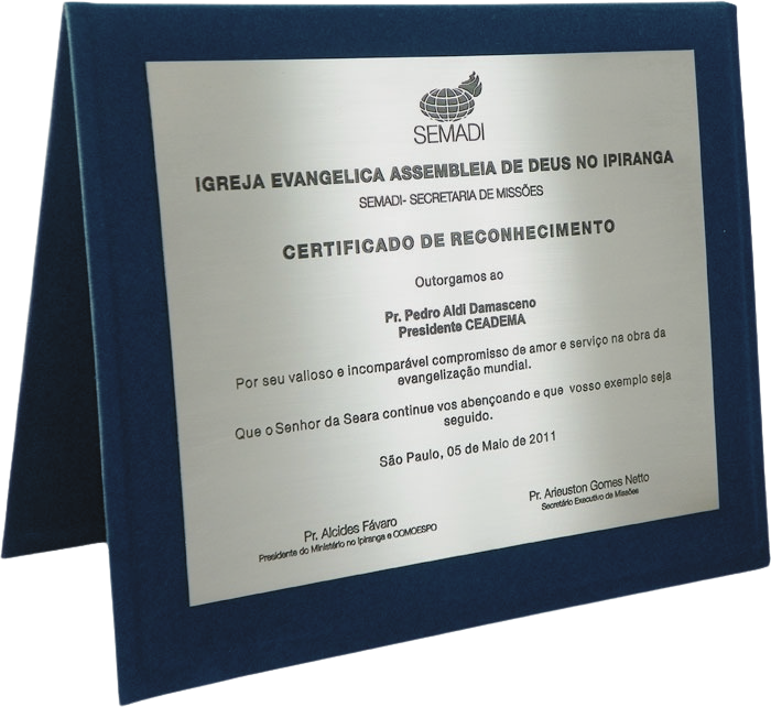 placas 5